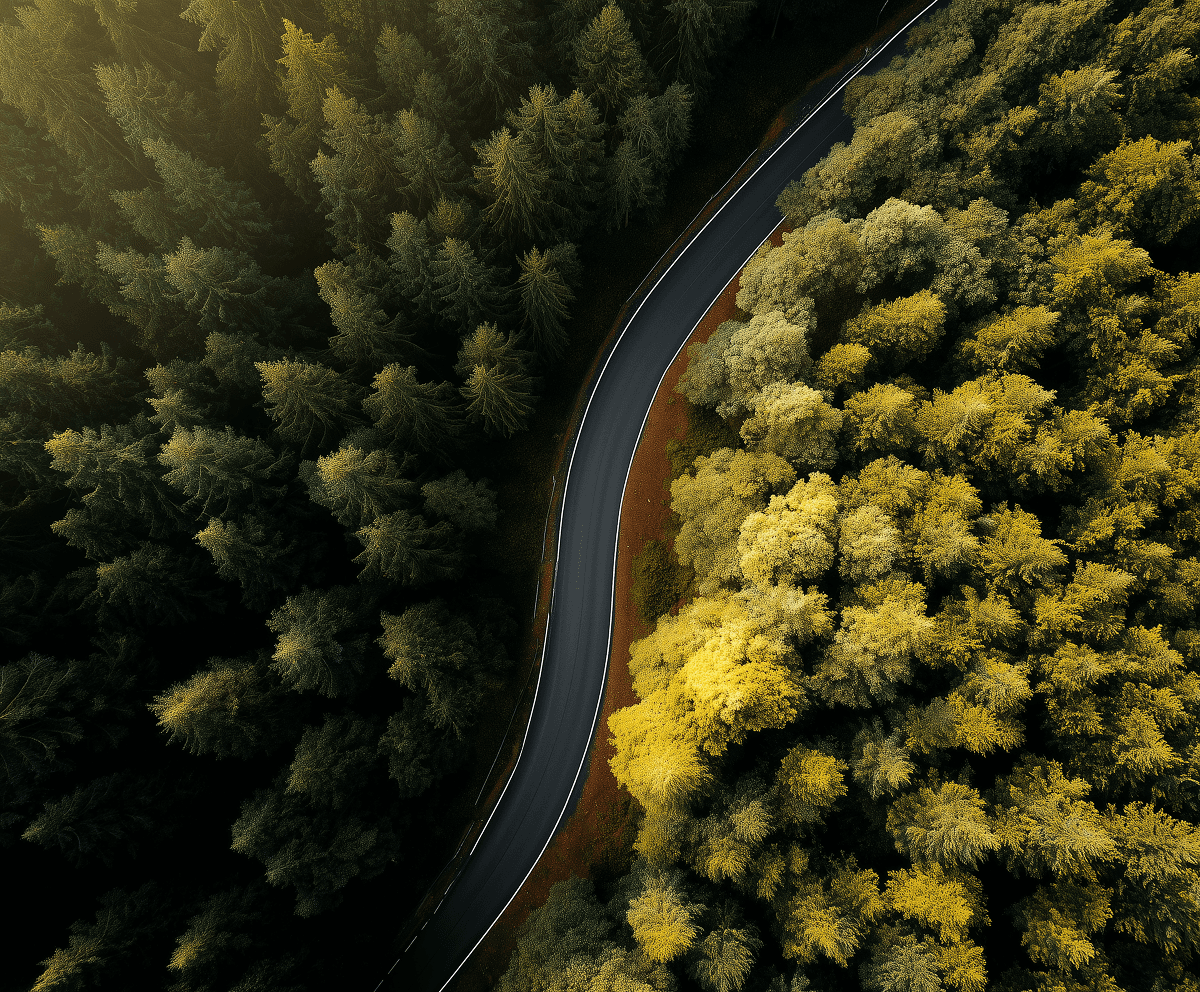Aerial view of a winding road through rocky hills